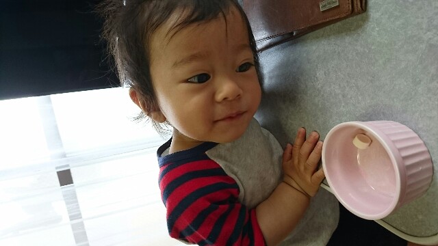 f:id:ayapinx:20160507120734j:image f:id:ayapinx:20160507120734j:image