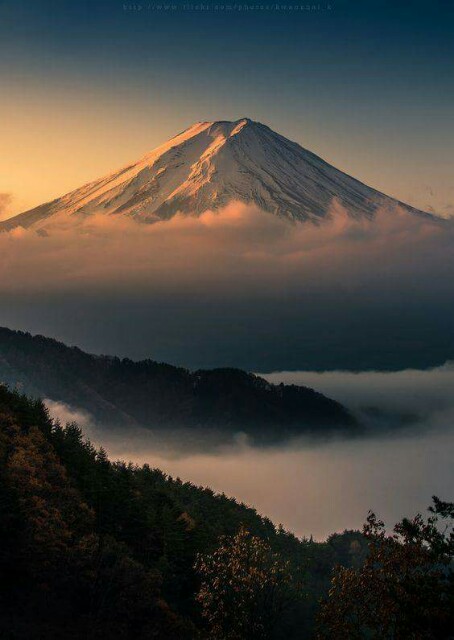 f:id:ayauchida:20160304000041j:image f:id:ayauchida:20160304000041j:image