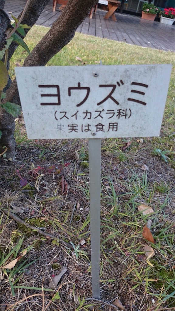 f:id:ayu-minmin:20160512020850j:image f:id:ayu-minmin:20160512020850j:image