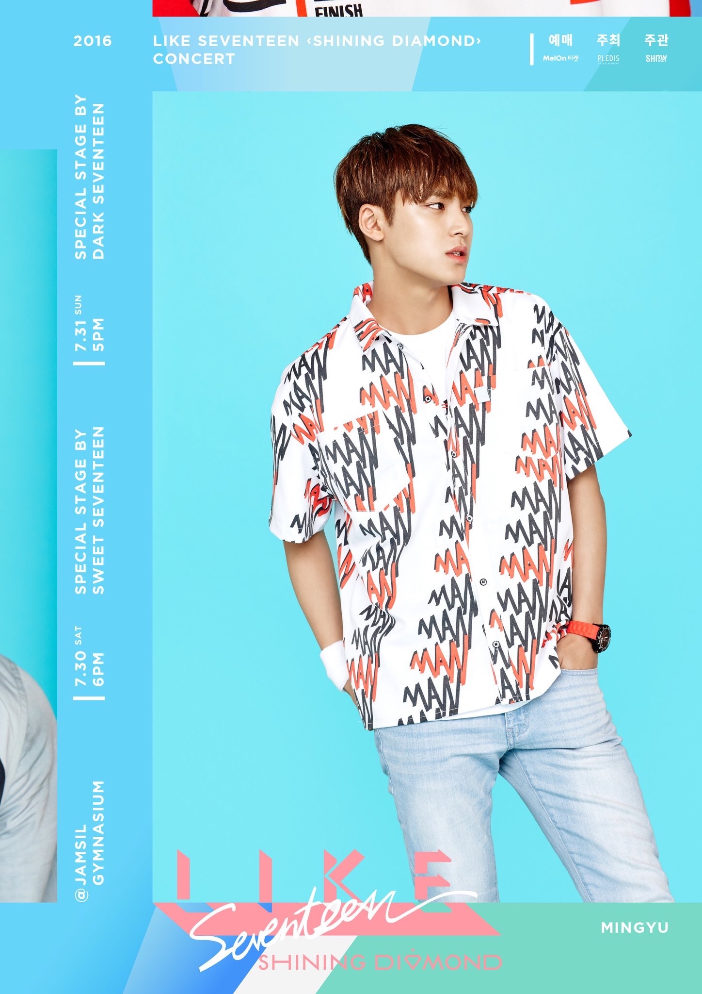 2016 'LIKE SEVENTEEN - Shining Diamond' CONCERT - 韓国大好き