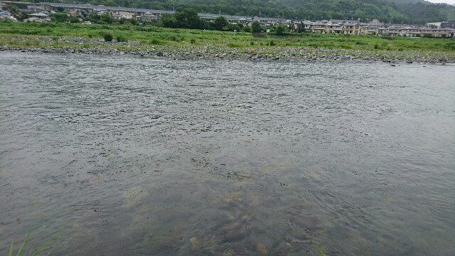 f:id:ayuojisan:20160726223041j:image f:id:ayuojisan:20160726223041j:image