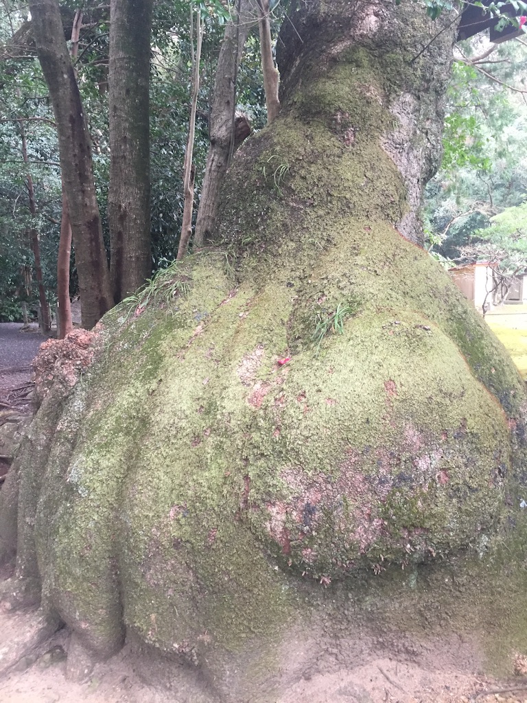 f:id:ayutann:20160308185037j:image f:id:ayutann:20160308185037j:image