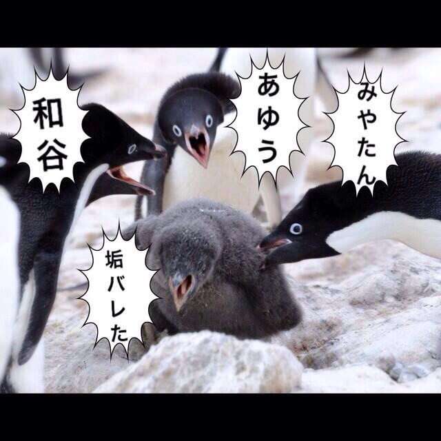 f:id:ayuuchan_kg:20131205003808j:plain f:id:ayuuchan_kg:20131205003808j:plain