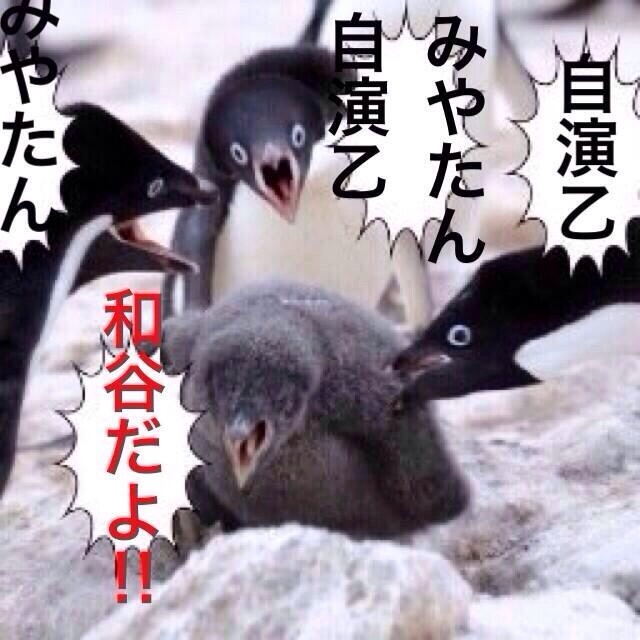f:id:ayuuchan_kg:20131206161933j:plain f:id:ayuuchan_kg:20131206161933j:plain