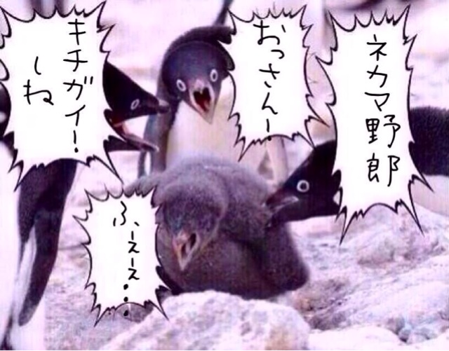 f:id:ayuuchan_kg:20131206162040j:plain f:id:ayuuchan_kg:20131206162040j:plain