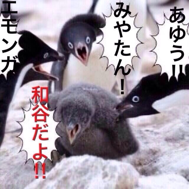 f:id:ayuuchan_kg:20131206162257j:plain f:id:ayuuchan_kg:20131206162257j:plain