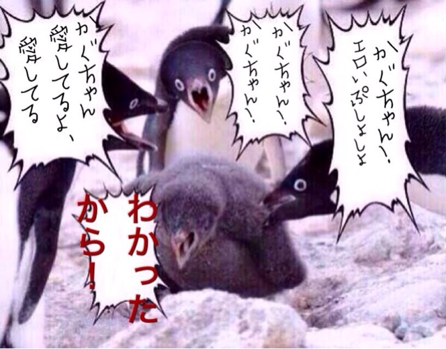 f:id:ayuuchan_kg:20131206162440j:plain f:id:ayuuchan_kg:20131206162440j:plain