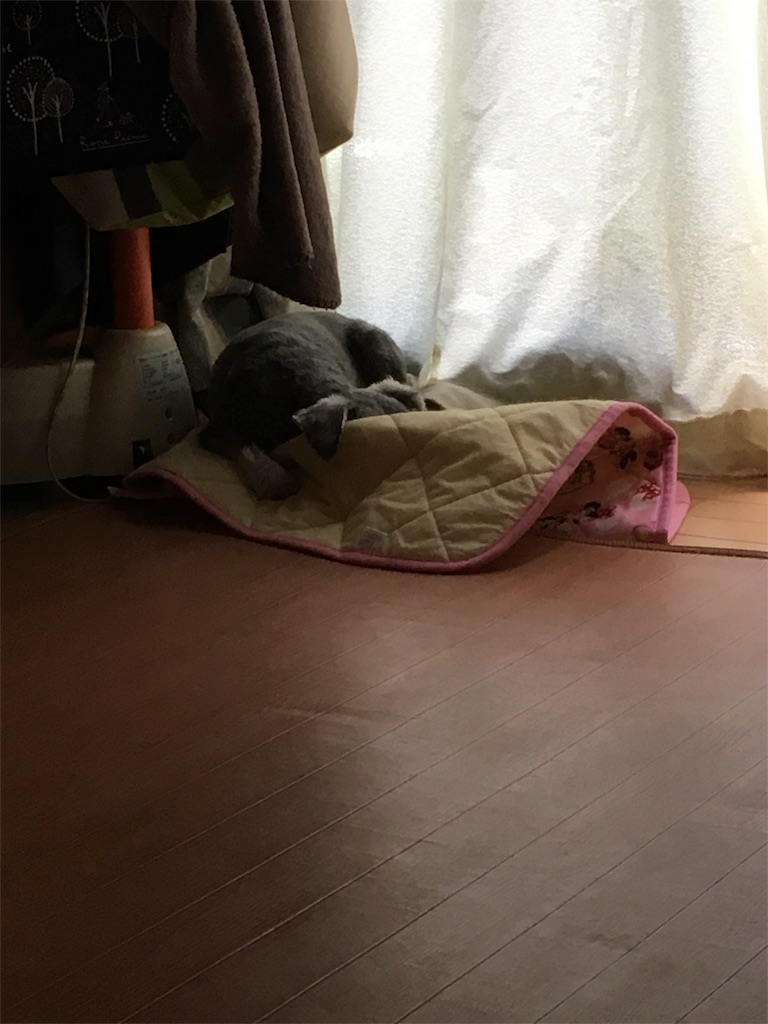 f:id:azisabateishooku:20160509153320j:image f:id:azisabateishooku:20160509153320j:image