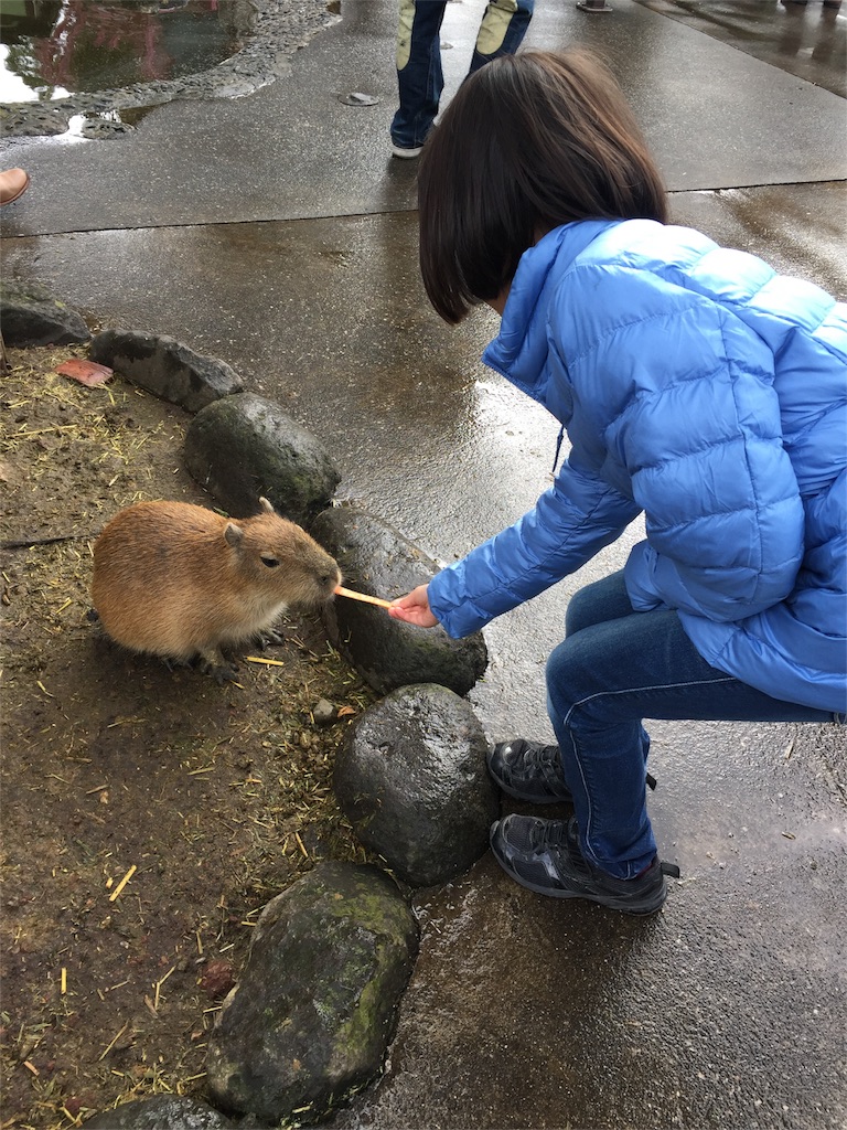 f:id:azuki141:20160103180542j:image f:id:azuki141:20160103180542j:image