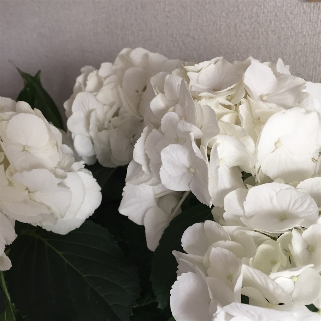 f:id:azuki141:20160508165152j:image f:id:azuki141:20160508165152j:image