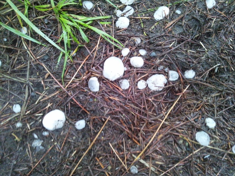 f:id:azuki250r:20120506151830j:image:w500