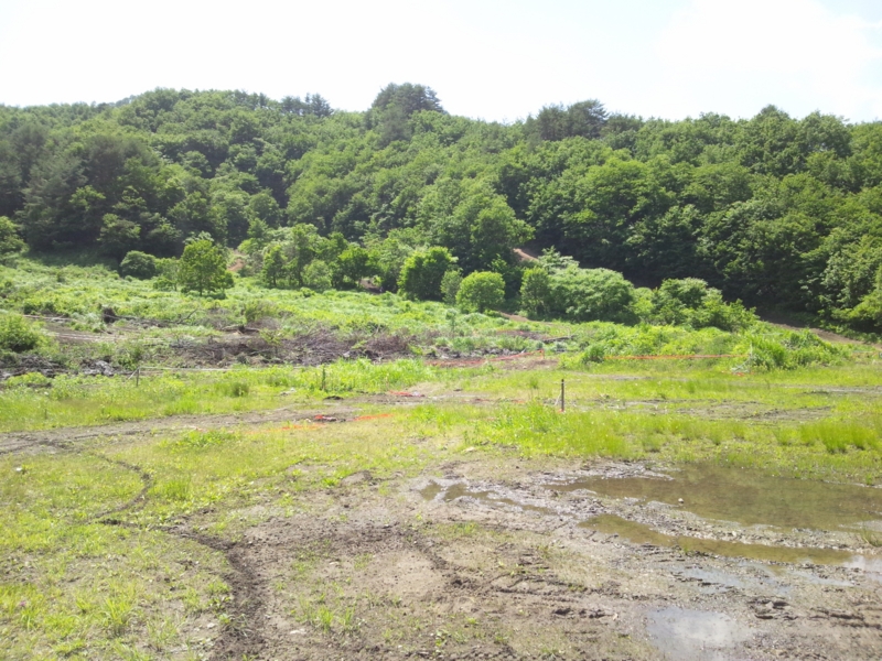 f:id:azuki250r:20140615131736j:image:w500 f:id:azuki250r:20140615131736j:image:w500