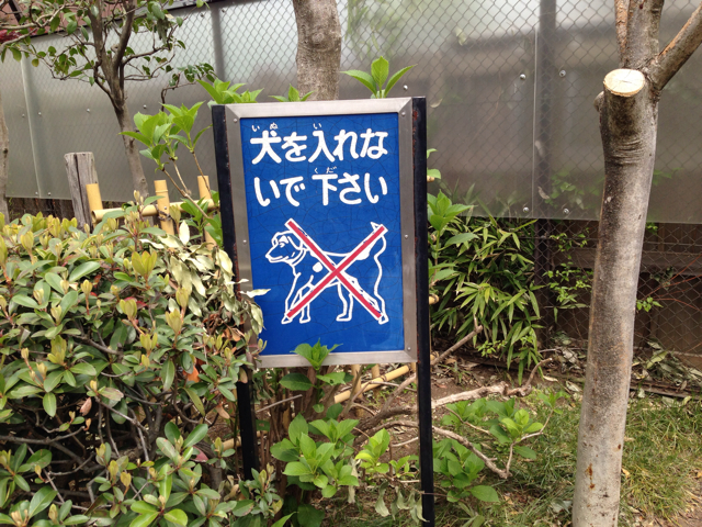 f:id:azumami:20140420222112j:plain f:id:azumami:20140420222112j:plain