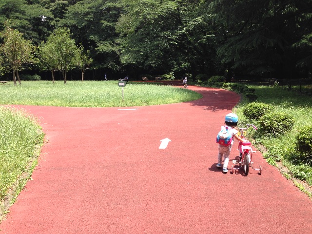 f:id:azumami:20150614105900j:image f:id:azumami:20150614105900j:image