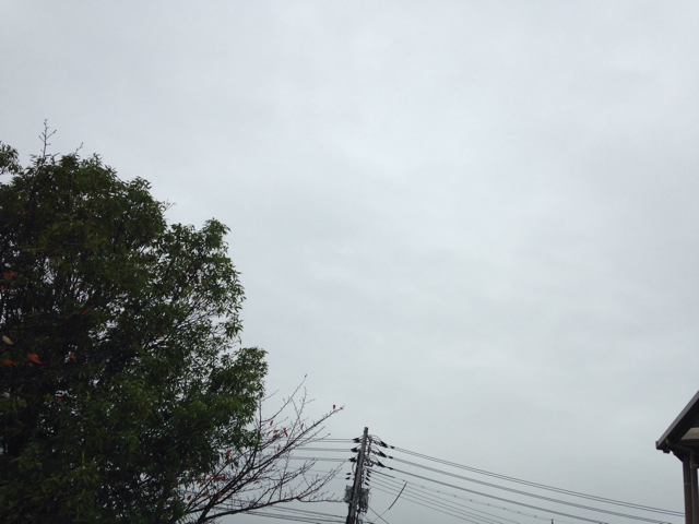 f:id:b-g-monroe:20131025062452j:plain f:id:b-g-monroe:20131025062452j:plain