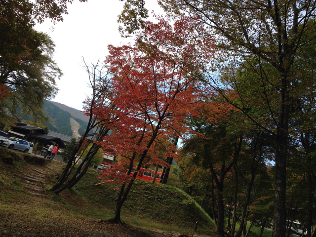 f:id:b-g-monroe:20131030212819j:plain f:id:b-g-monroe:20131030212819j:plain
