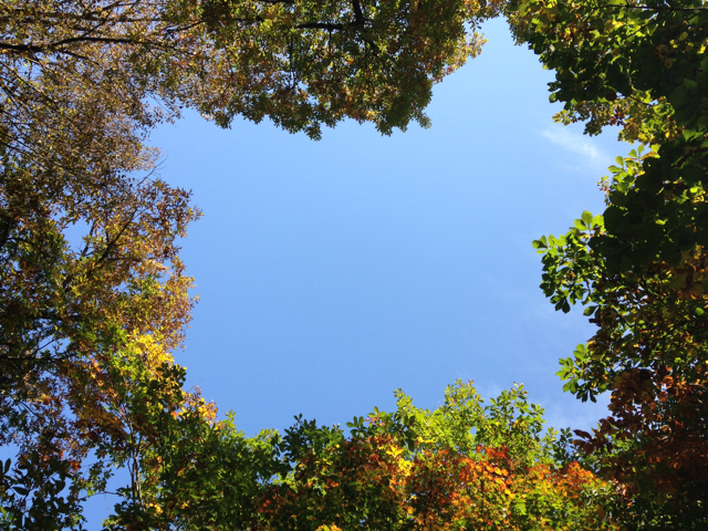 f:id:b-g-monroe:20131030212957j:plain f:id:b-g-monroe:20131030212957j:plain