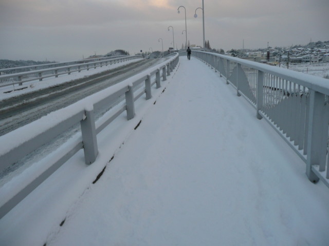 f:id:b0916903:20110117212714j:image