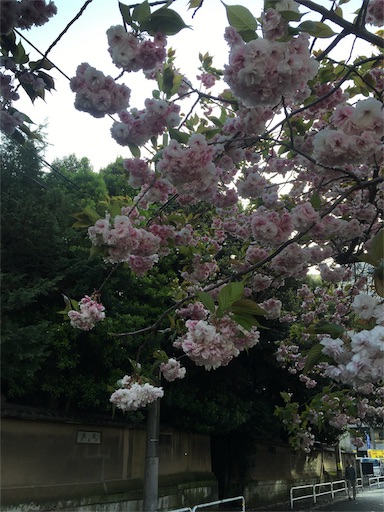 f:id:ba-shi:20160418004131j:image f:id:ba-shi:20160418004131j:image