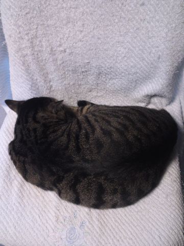 f:id:baba-neko:20150920172412j:plain f:id:baba-neko:20150920172412j:plain