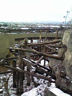 f:id:babie:20061125144710j:image