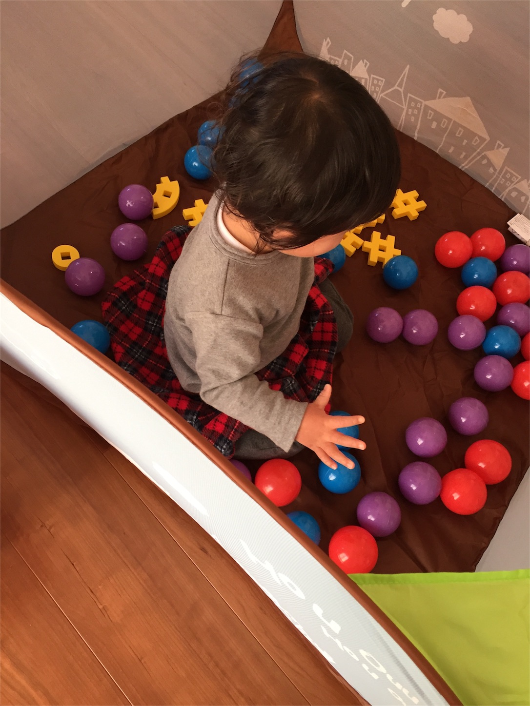 f:id:babyenglish:20160113140413j:image f:id:babyenglish:20160113140413j:image