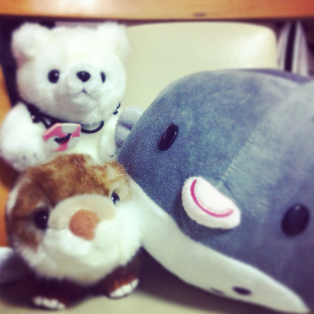 f:id:babyssbxxx:20130930234408j:plain f:id:babyssbxxx:20130930234408j:plain