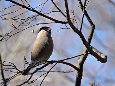 f:id:background-color:20150222220118j:plain f:id:background-color:20150222220118j:plain