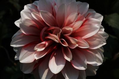 f:id:bambi_eco1020:20140204162641j:plain f:id:bambi_eco1020:20140204162641j:plain