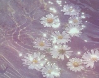 f:id:bambi_eco1020:20140416215832j:plain f:id:bambi_eco1020:20140416215832j:plain