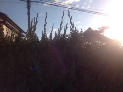 f:id:bambi_eco1020:20150118111348j:plain f:id:bambi_eco1020:20150118111348j:plain