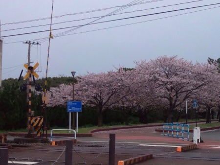 f:id:bambi_eco1020:20150407212838j:plain f:id:bambi_eco1020:20150407212838j:plain