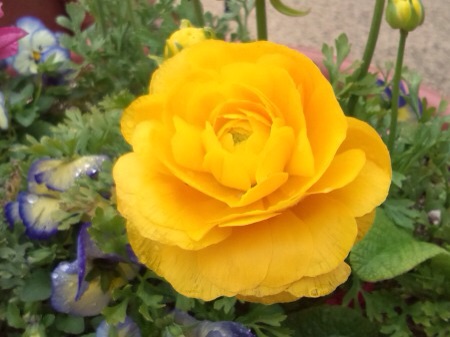f:id:bambi_eco1020:20150407213108j:plain f:id:bambi_eco1020:20150407213108j:plain