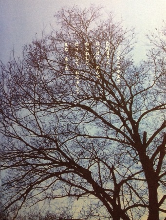 f:id:bambi_eco1020:20150517231146j:plain