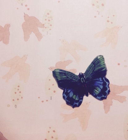 f:id:bambi_eco1020:20150717225531j:plain