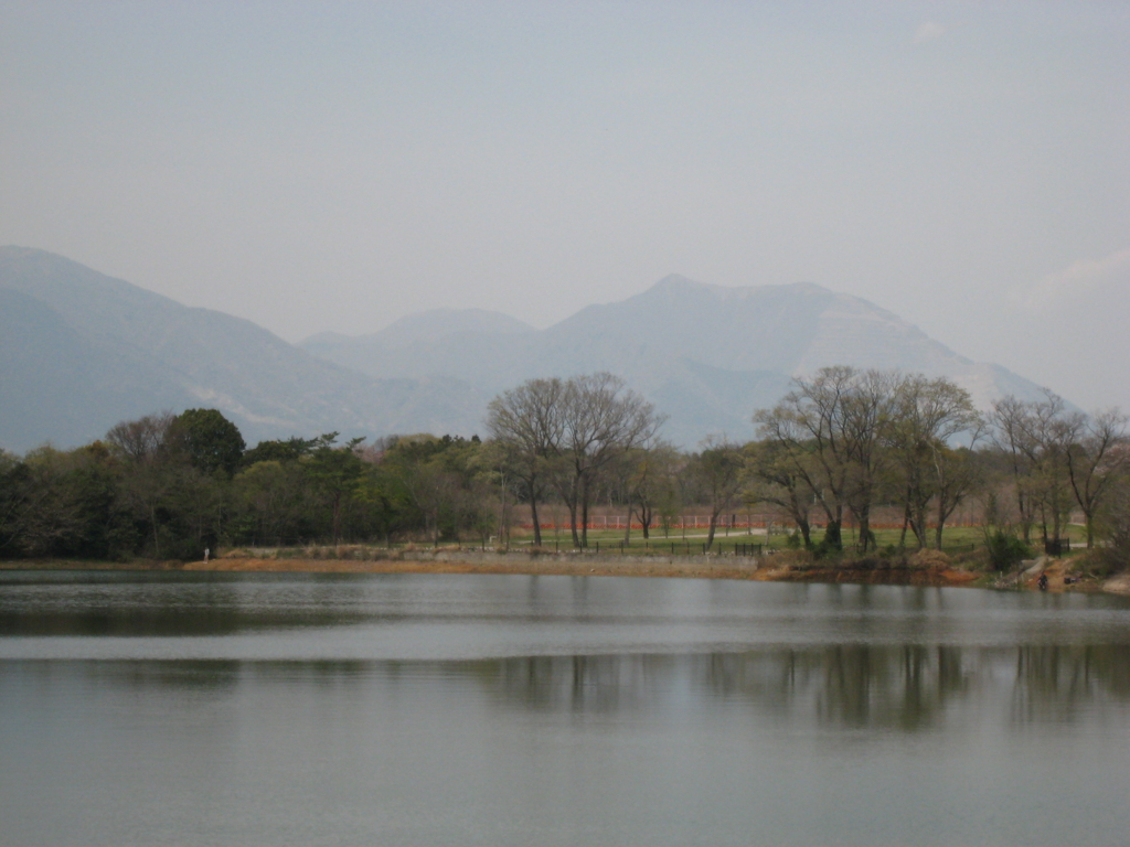 f:id:bambi_eco1020:20160409120107j:plain