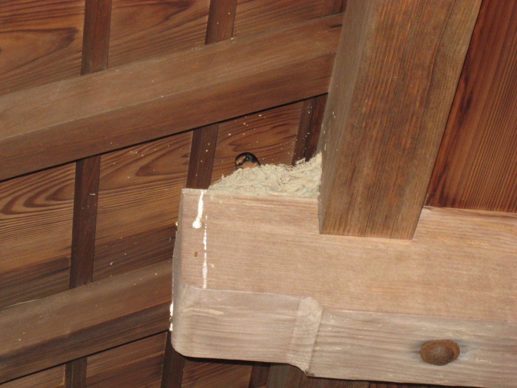 f:id:bambi_eco1020:20160512174922j:plain