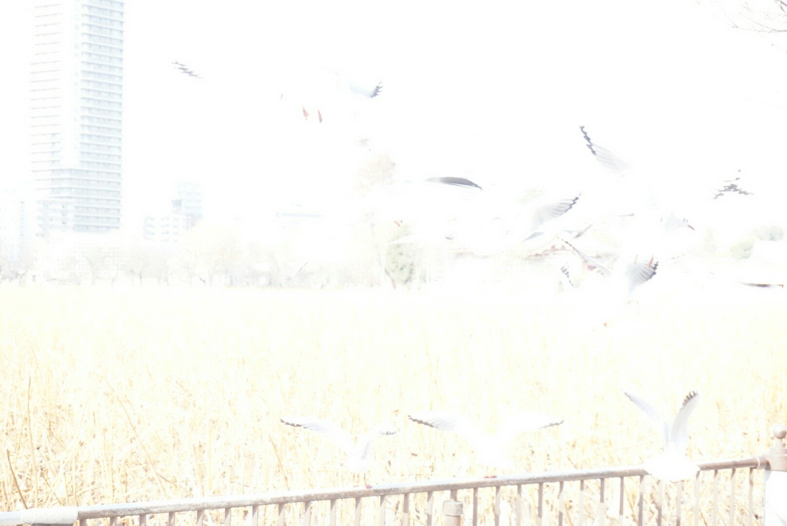 f:id:banananananaablen:20160105231005j:image f:id:banananananaablen:20160105231005j:image