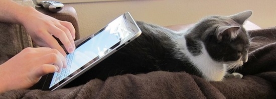 f:id:banguard9383:20120318231035j:plain f:id:banguard9383:20120318231035j:plain