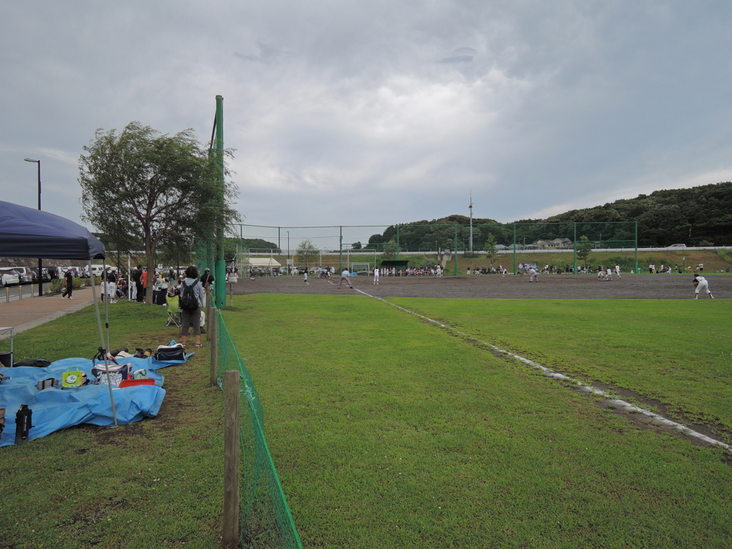 f:id:baseball-birthday:20150726223527j:plain