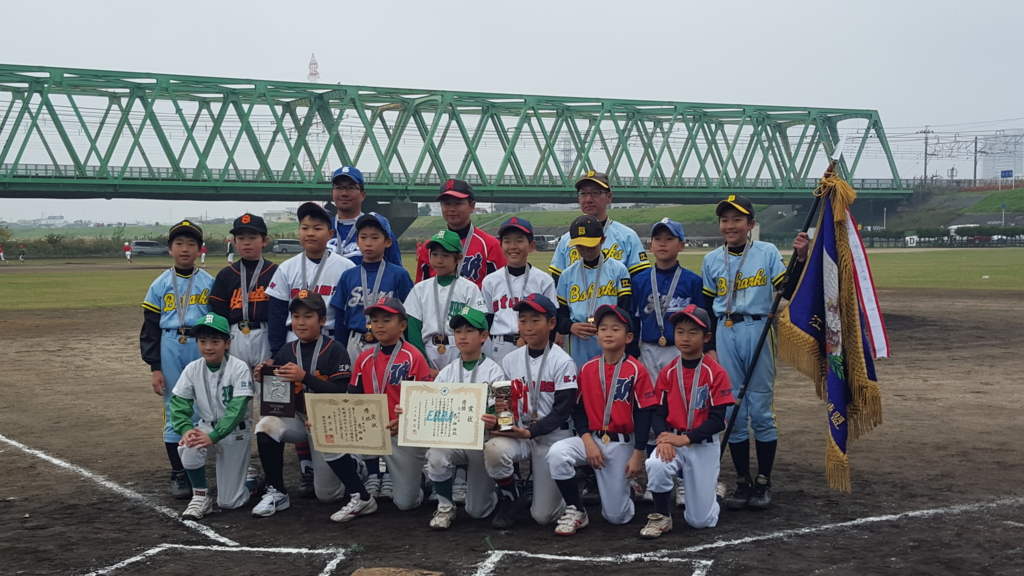 【レア】第5回 世界少年野球大会 1994年 宮崎 報道用 キャップ デサント レア】第5回 世界少年野球大会 1994年 宮崎 報道用 キャップ