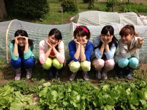 f:id:baseballbeer:20130603072150j:plain f:id:baseballbeer:20130603072150j:plain