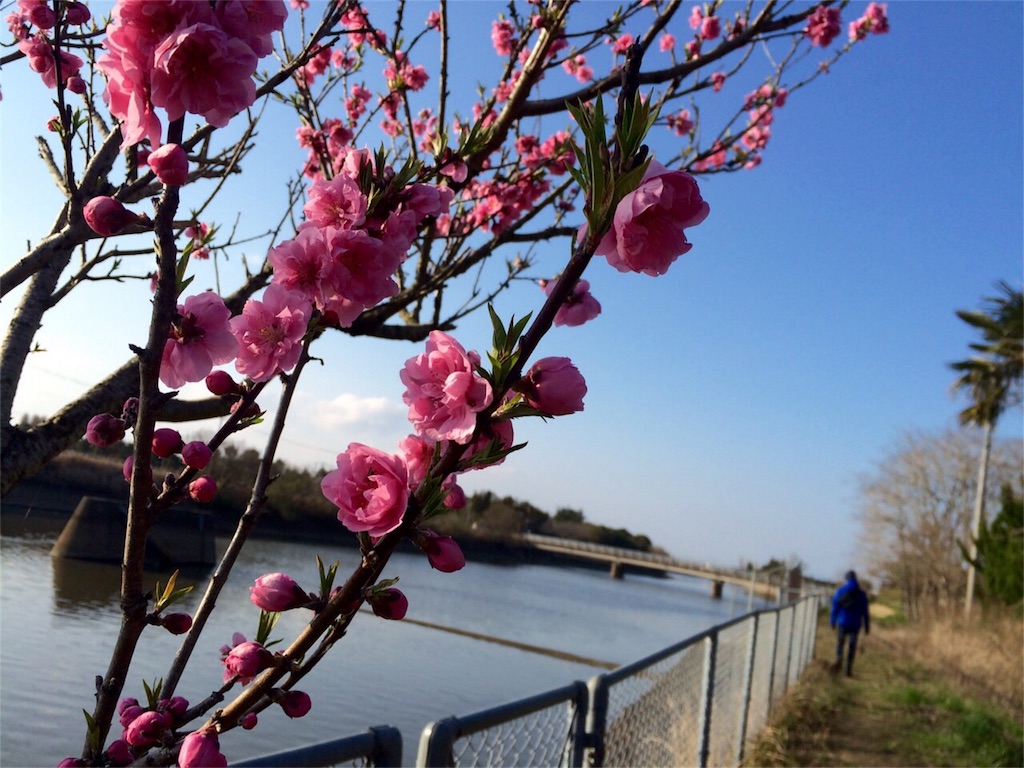 f:id:bassdra:20160321190730j:image f:id:bassdra:20160321190730j:image