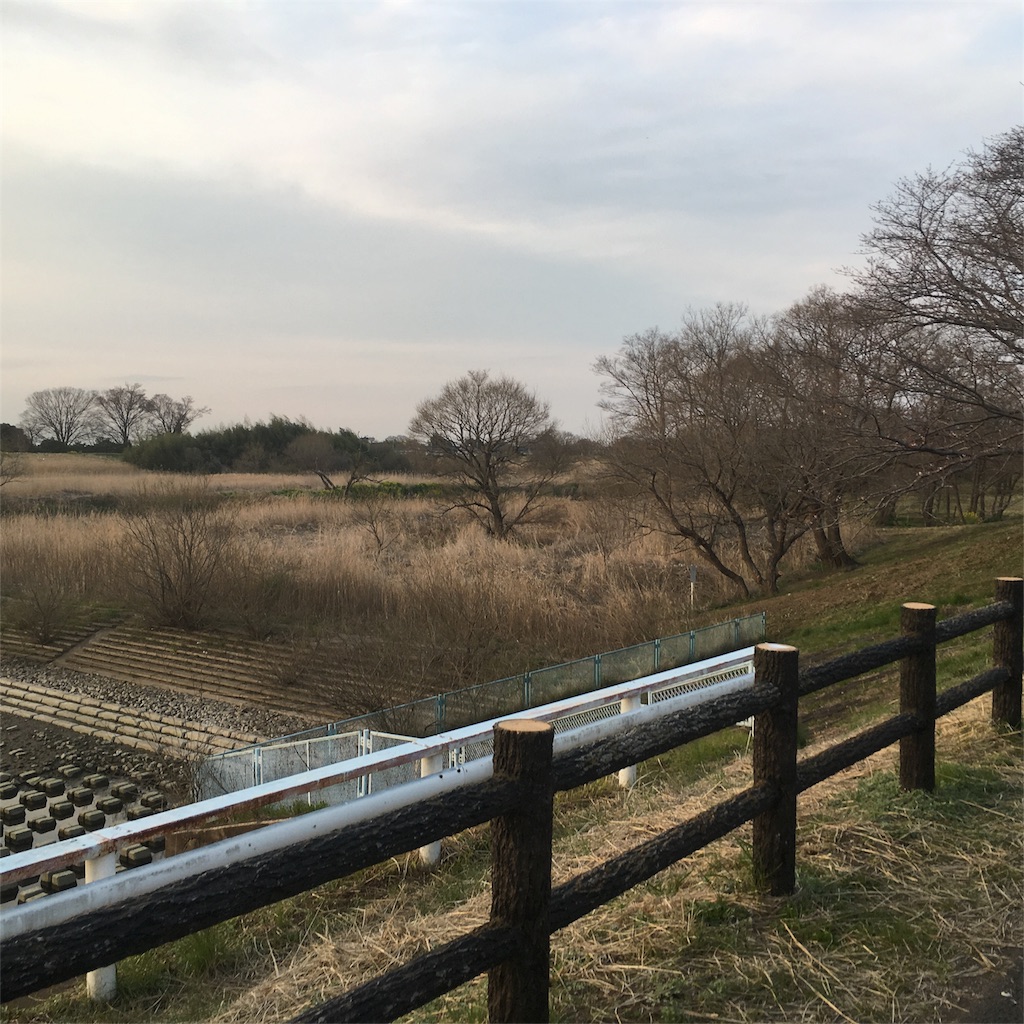 f:id:bassdra:20160327225524j:image f:id:bassdra:20160327225524j:image