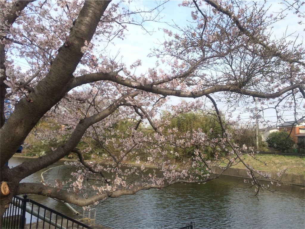 f:id:bassdra:20160404014008j:image f:id:bassdra:20160404014008j:image