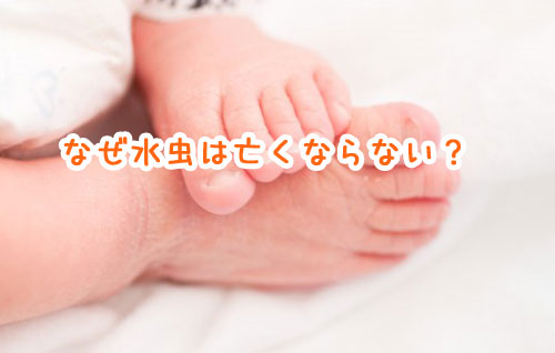 f:id:bassser:20160529192334j:plain f:id:bassser:20160529192334j:plain