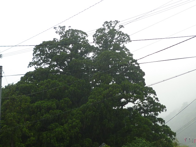 f:id:bata_sun:20160519160527j:plain f:id:bata_sun:20160519160527j:plain