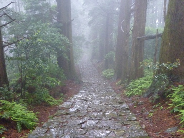 f:id:bata_sun:20160519165845j:plain f:id:bata_sun:20160519165845j:plain