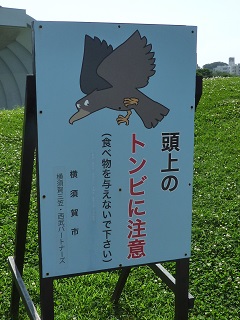 f:id:bata_sun:20160718073021j:plain f:id:bata_sun:20160718073021j:plain