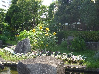 f:id:bata_sun:20160718074152j:plain f:id:bata_sun:20160718074152j:plain